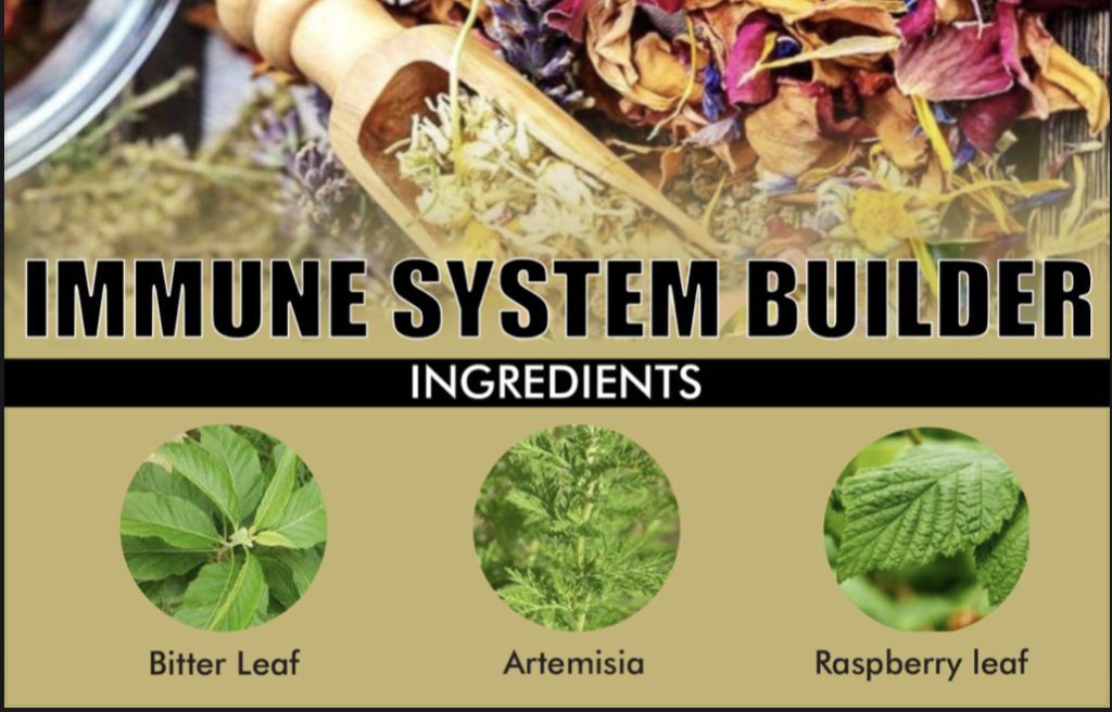 Immune System Builder